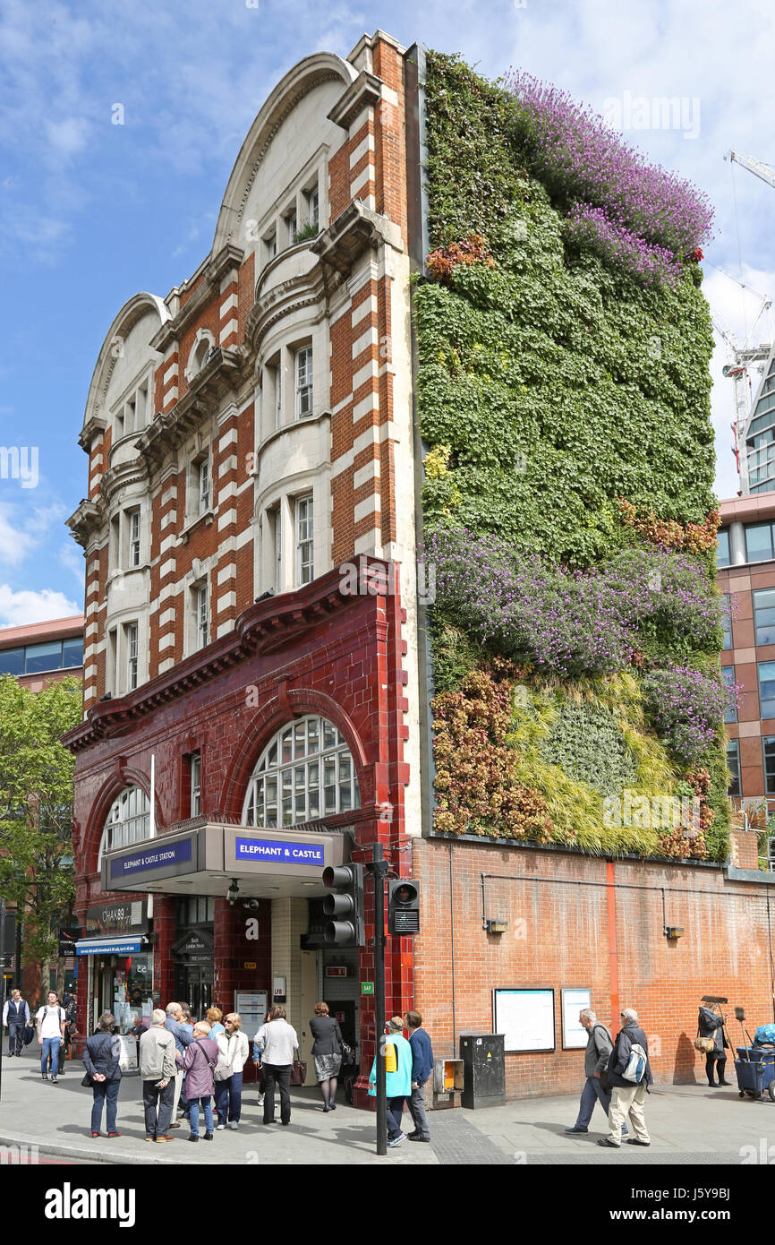 Entrance to the Underground station at London's Elephant and Castle. Shows the new living wall on the side of the old Victorian station building Stock Photo