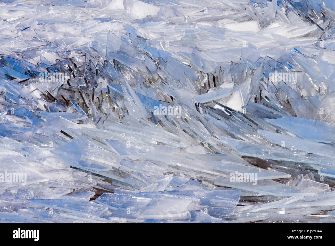 abstract slab ice sheet blue winter cold field reflection frozen float