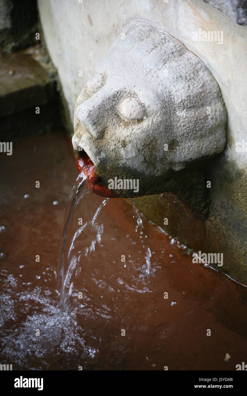 source bathing resort spa mineral spring health wellness source mineral