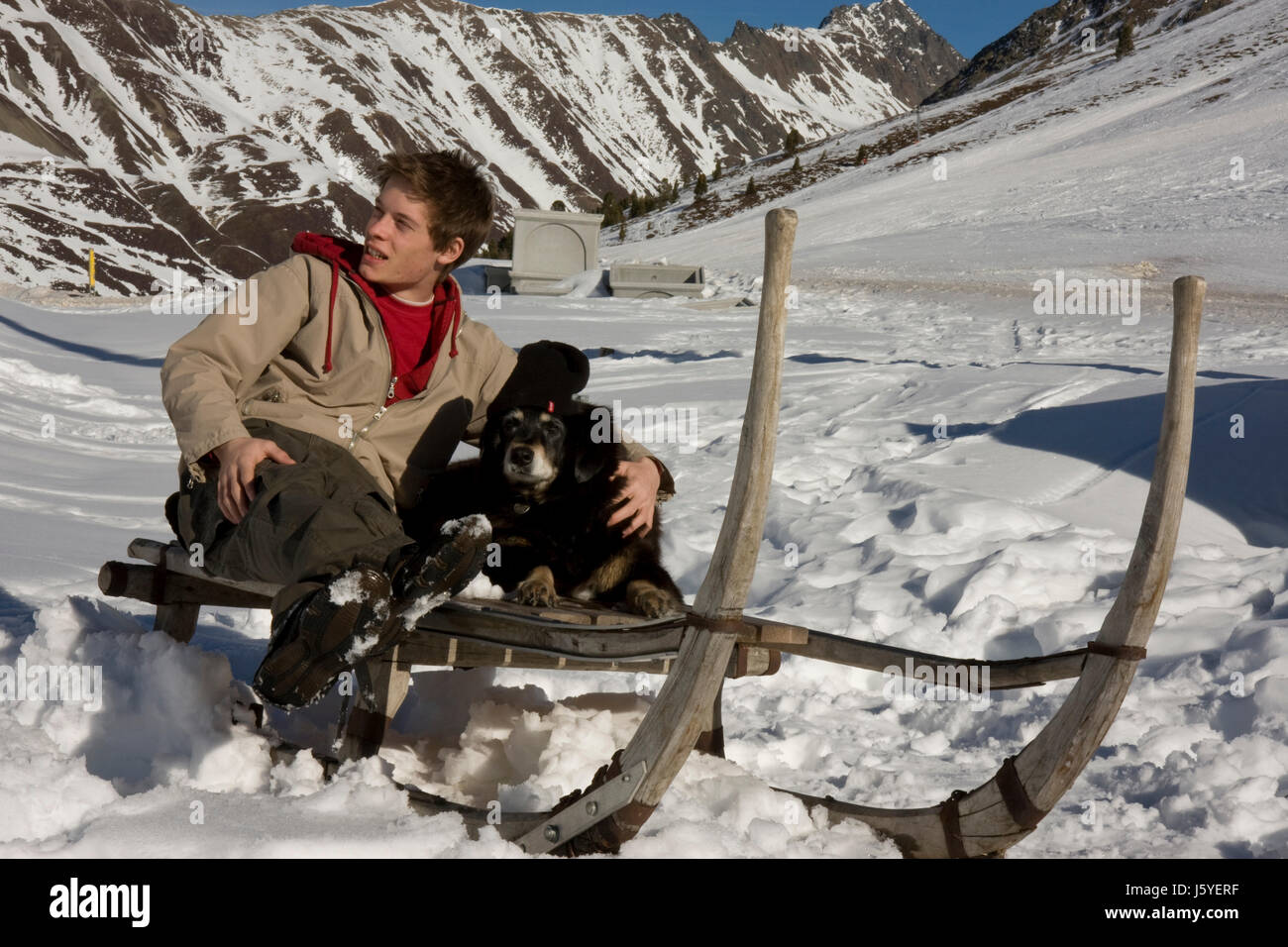 winter pet dog sledge bob-sleigh child teens teenagers youth sport sports Stock Photo