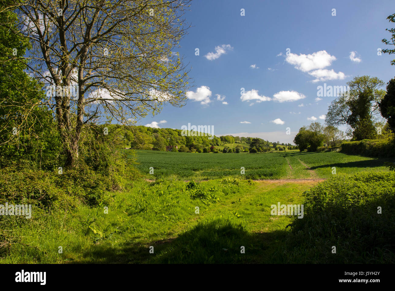 Portsmouth And Southsea Stock Photo Alamy   Portsmouth And Southsea J5YH2Y 