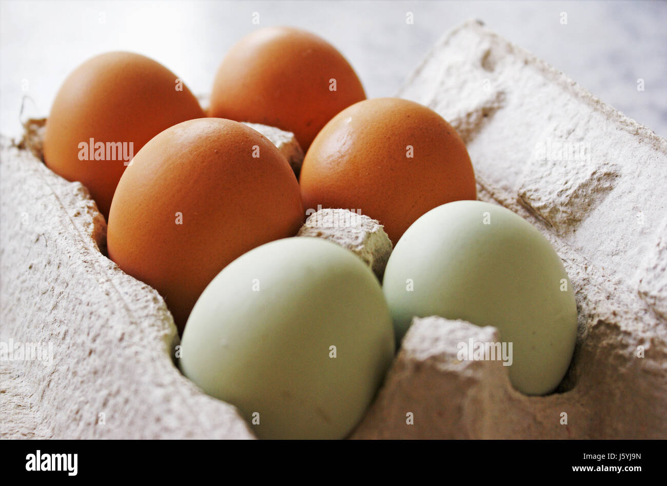 egg eggs oval sixpack egg box eggs assorted limb oval sixpack sixpack hhnereier Stock Photo