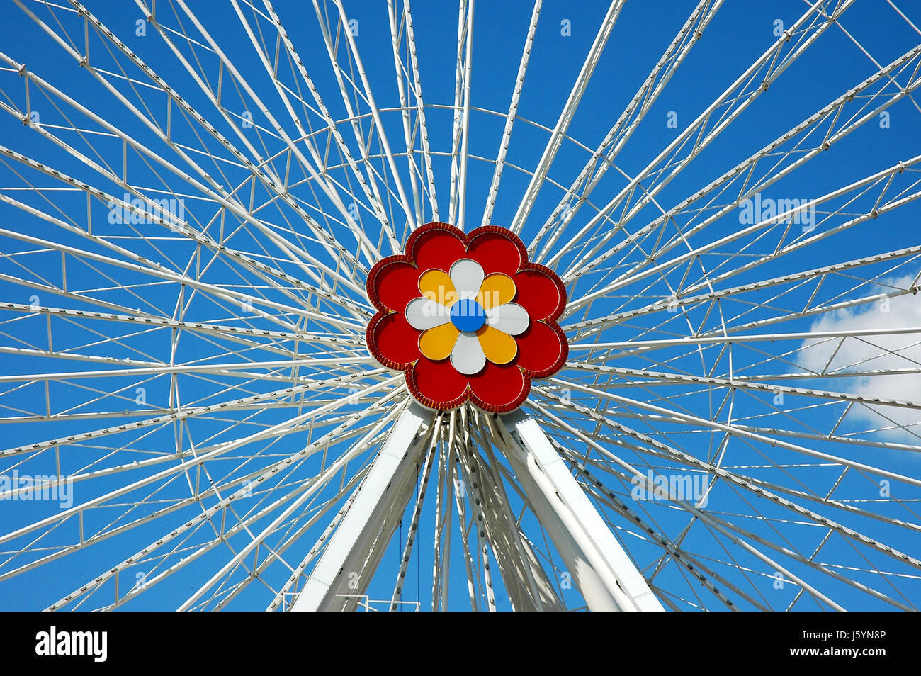 flower plant wheel ferris wheel giant wheel firmament sky clouds park ...