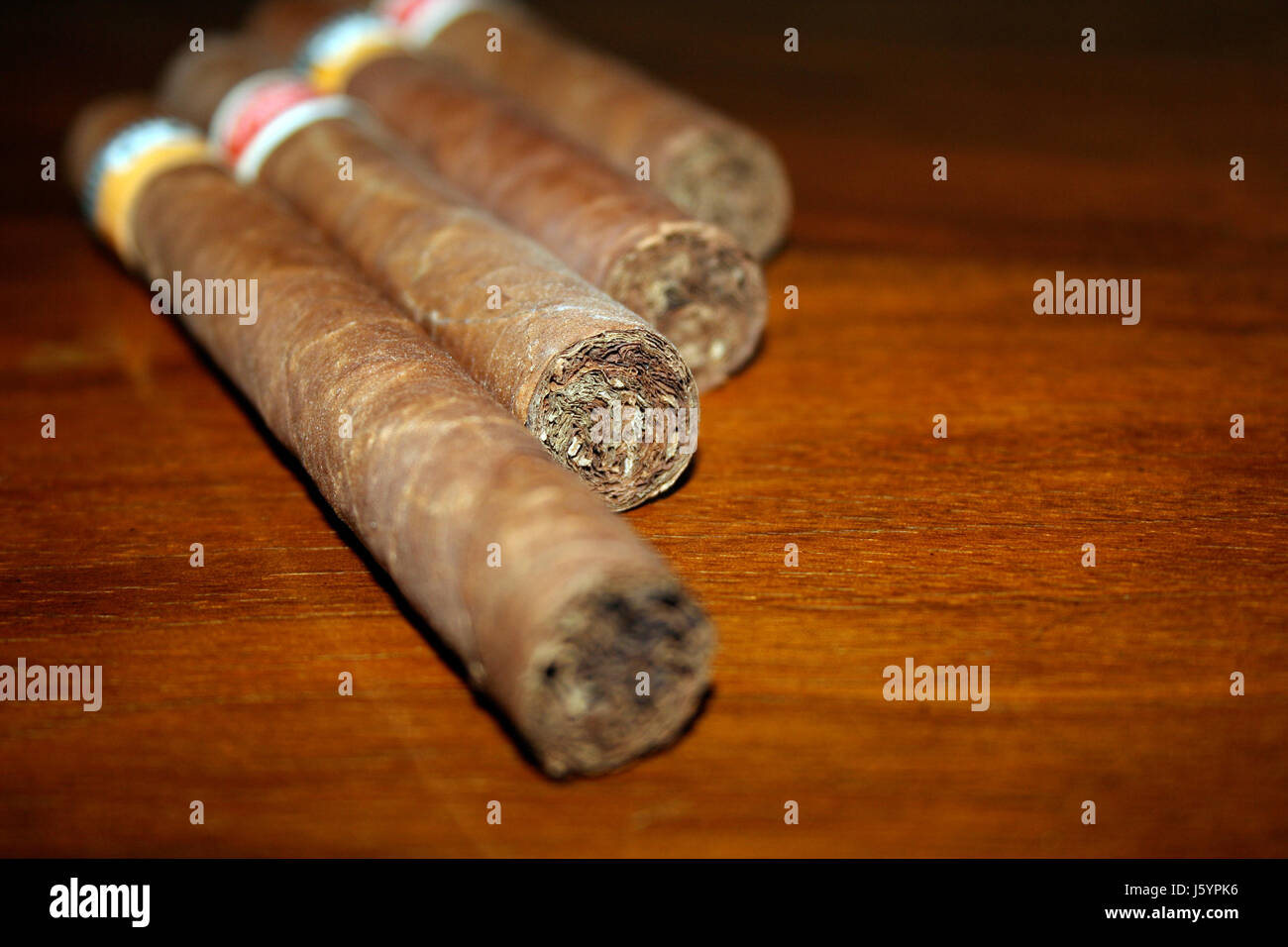 when did tobacco become popular in europe How and when was tobacco introduced to European society? when did tobacco become popular in europe How and when was tobacco introduced to European society?