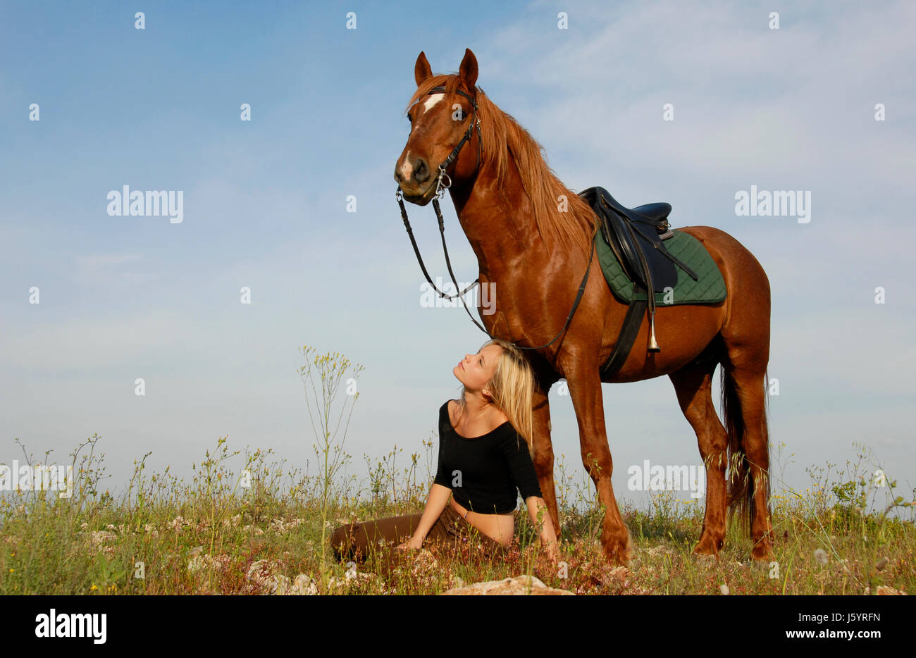 woman horse field stallion teenager blond beauty blue friendship animal pet Stock Photo