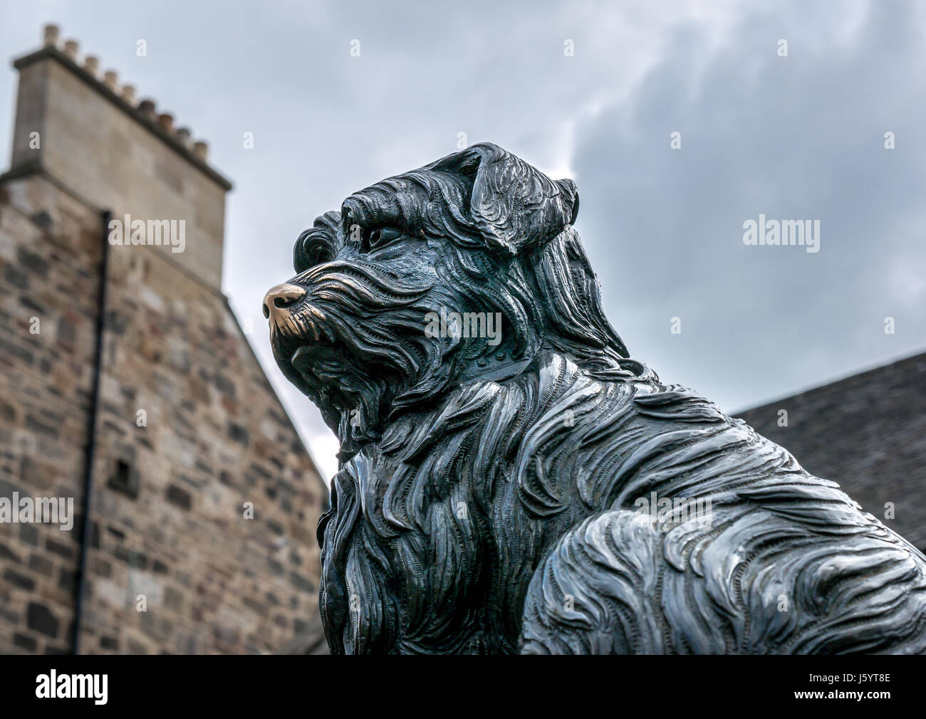 Close up of dog Greyfriar's Bobby bronze statue by William Brodie and old tenement building, Edinburgh, Scotland, UK, with good luck rubbed shiny nose Stock Photo