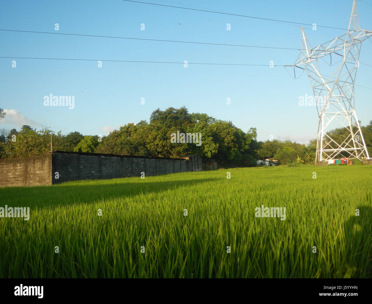 This photograph captures a rural scene in Guiguinto, Bulacan ...