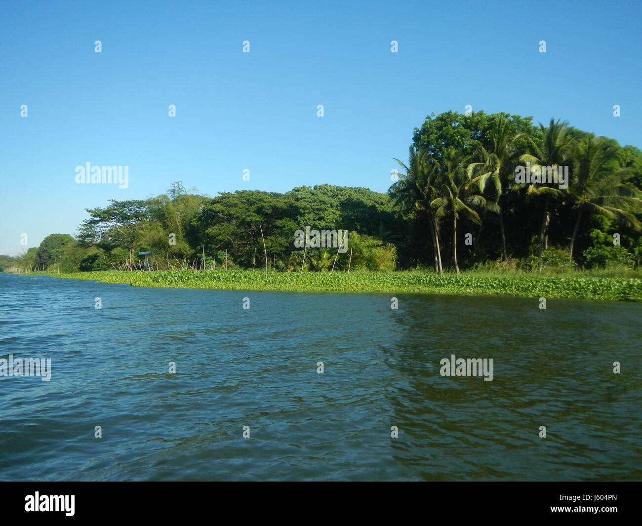This refers to the riverine and rural districts of Calumpit, Bulacan ...