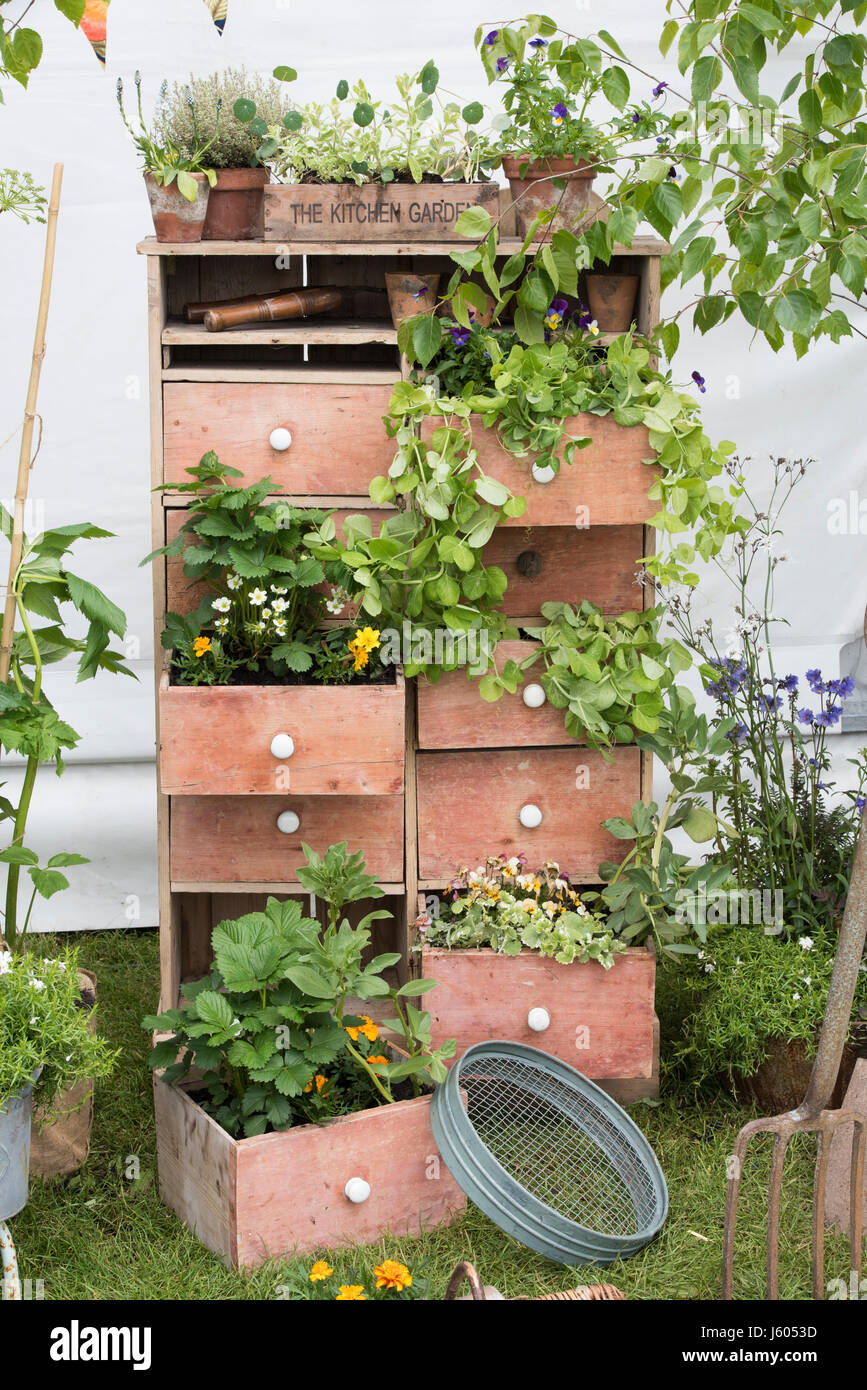 country living gardens on Chest Of Drawers Flower Display In The Country Living Garden At Malvern Spring Show 2017 Malvern Worcestershire Uk Stock Photo Alamy