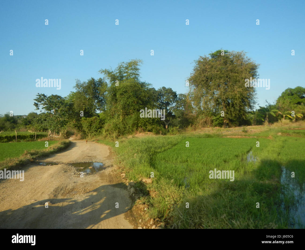 This image depicts the rural landscape of Pasong Bangkal in San ...