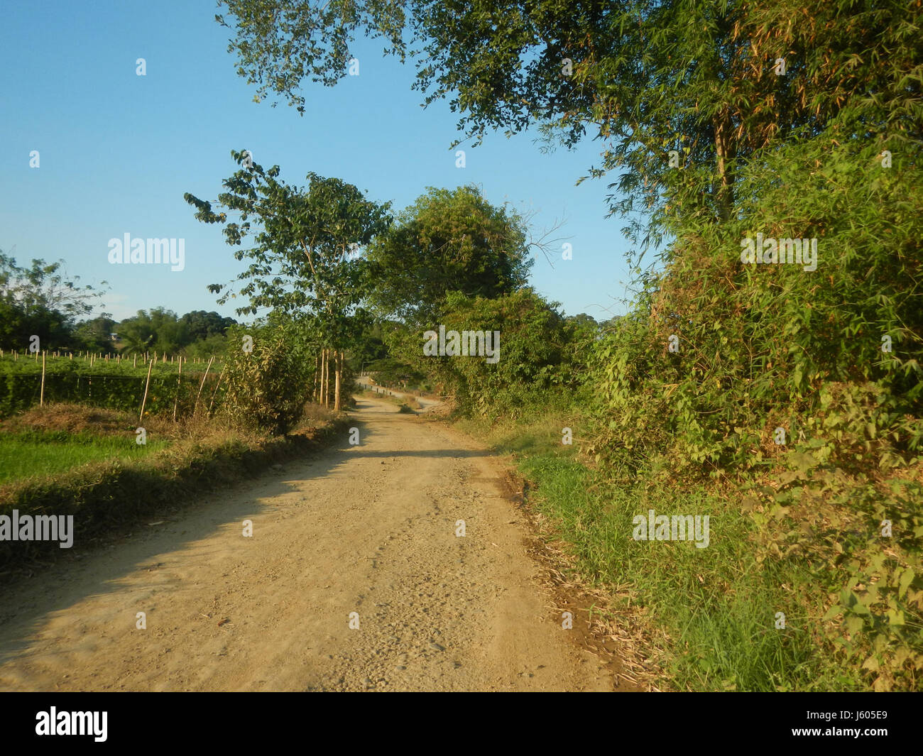 This image shows a rural scene in San Ildefonso, Bulacan, Philippines ...