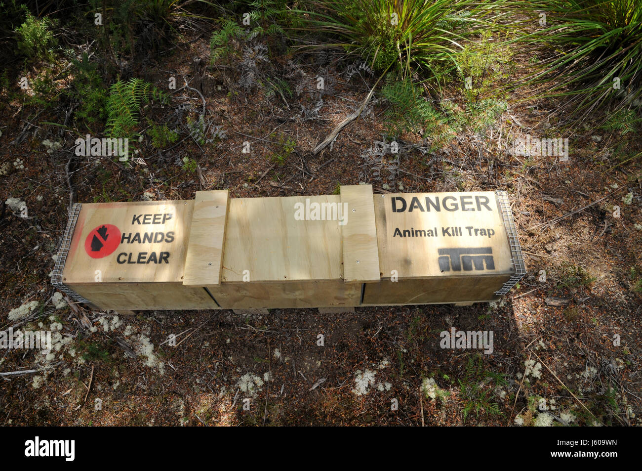 Animal kill traps on DOC land on New Zealand's South Island. Introduced species such as stoats have taken a severe toll on indigenous wild life. Stock Photo