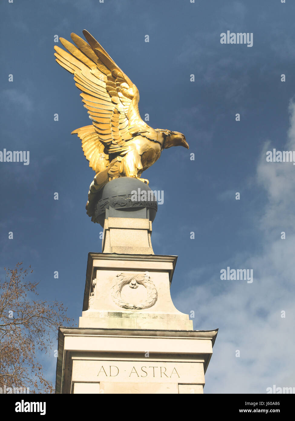London Royal Air Force High Resolution Stock Photography and Images - Alamy