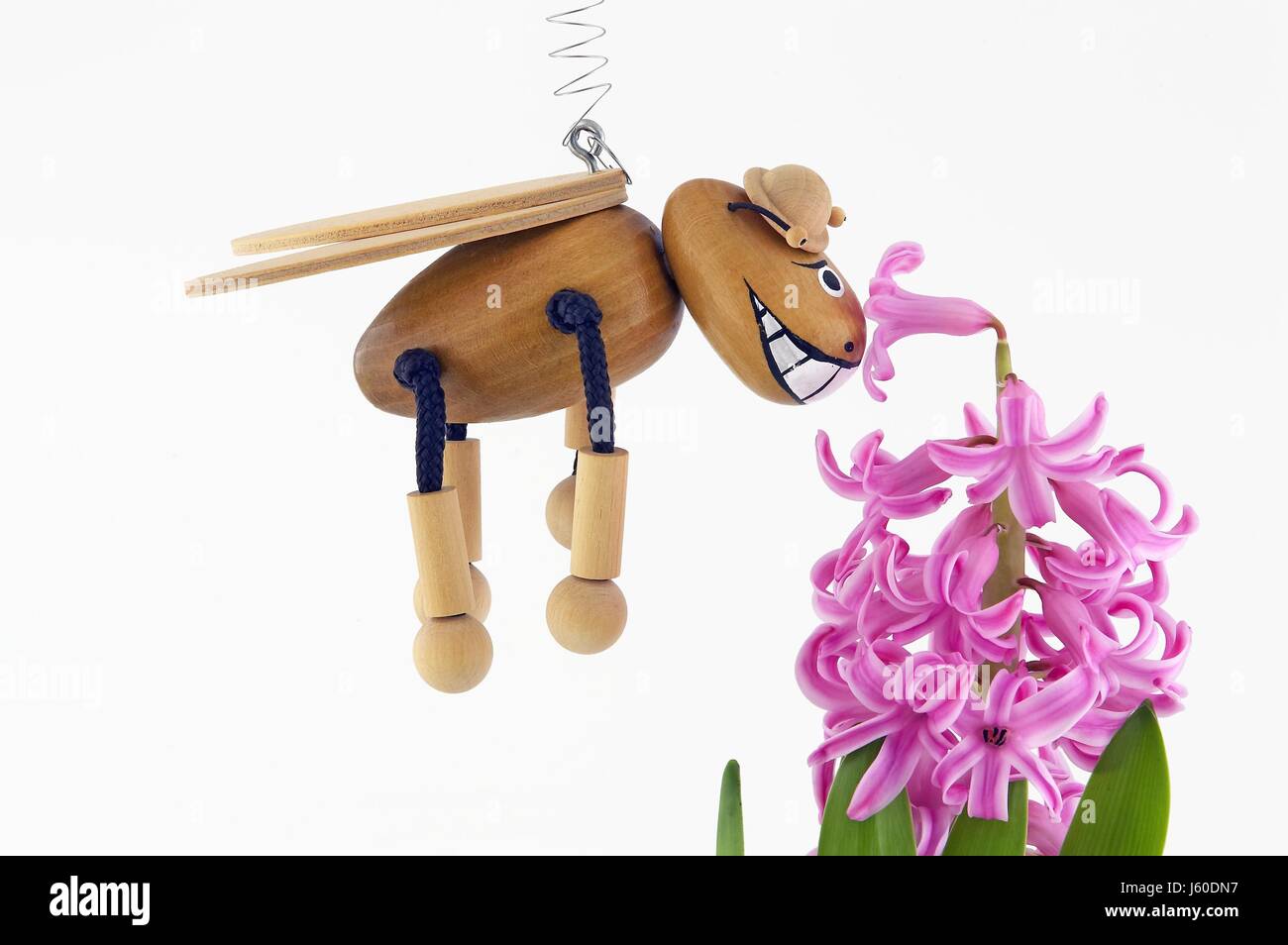 Spring Insect Toy insect flower plant beetle toy spring bug hyacinth leaf wood hat wing ...