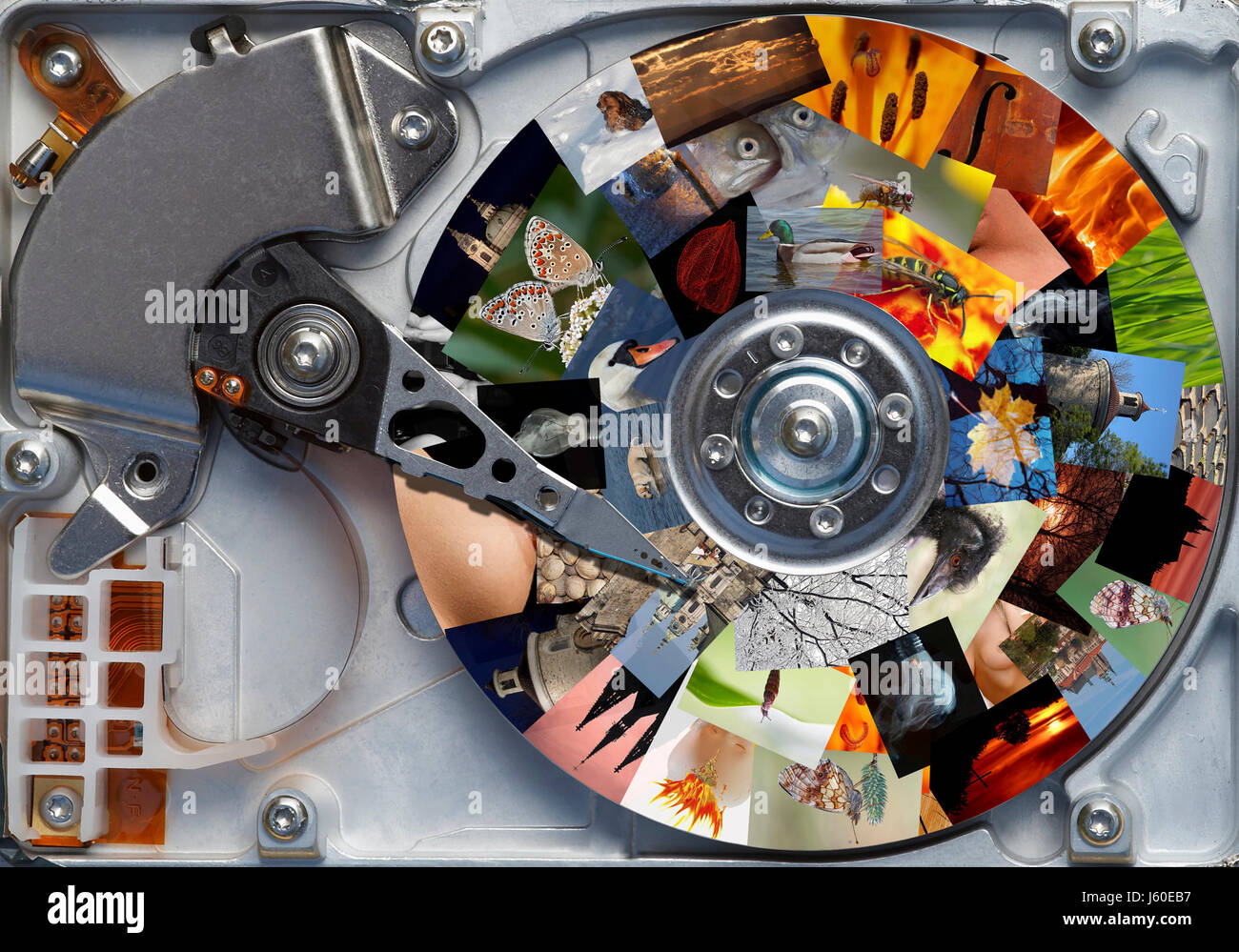 photo camera disc hard data informations substratums facts information ...