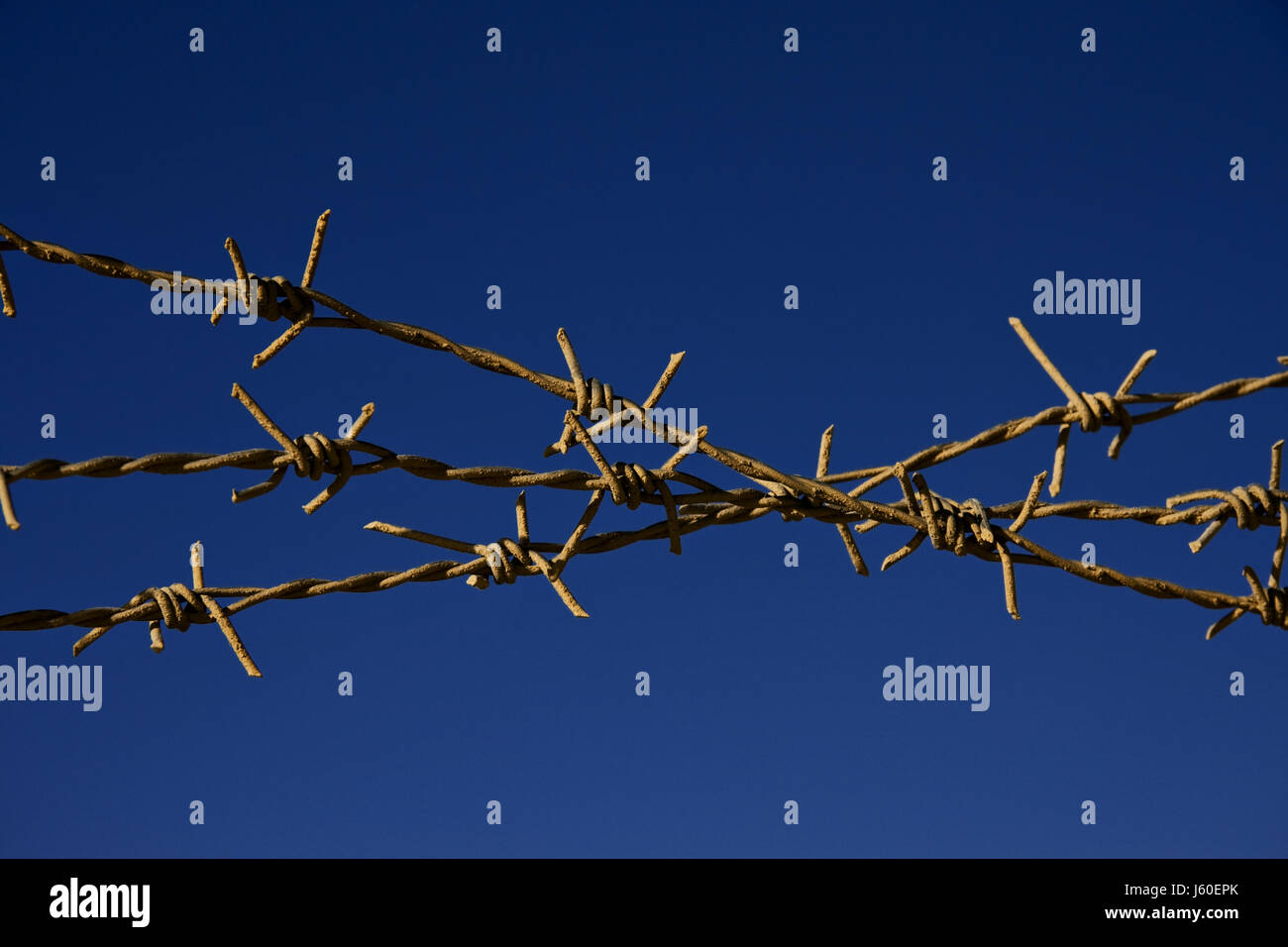 fence wire barbed wire put in prison war thorns closed pointed fence rusty Stock Photo