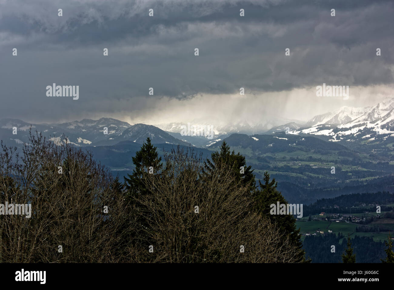 Wunderbar Pfnder Bei Bregenz Bildernull