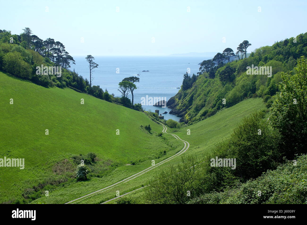 devonian green meadows valley coast forested bay path way salt water sea ocean Stock Photo
