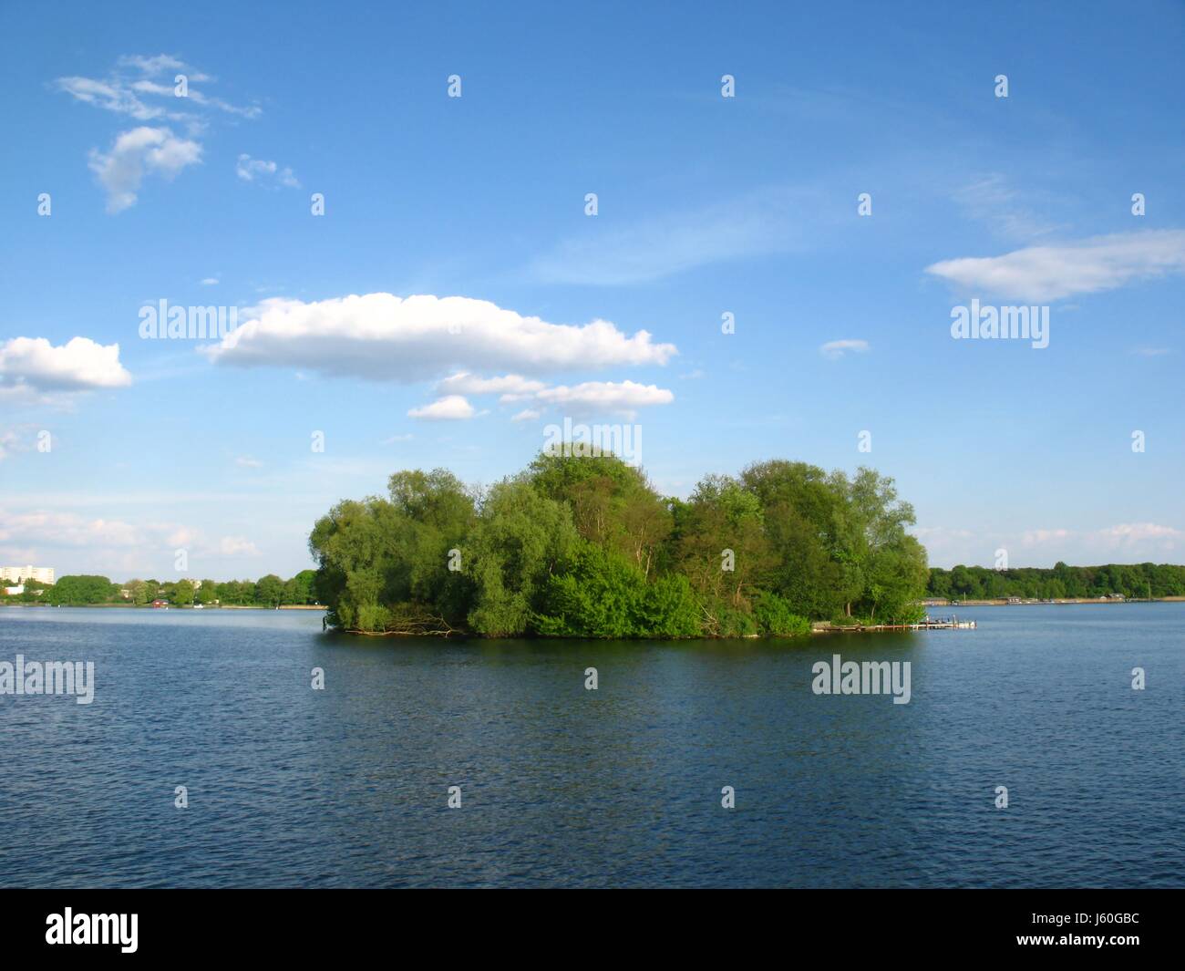 blue tree trees landing stage salt water sea ocean water forest isle ...