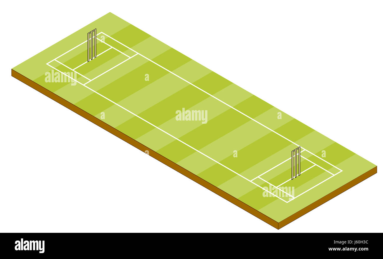 Cricket Pitch Diagram