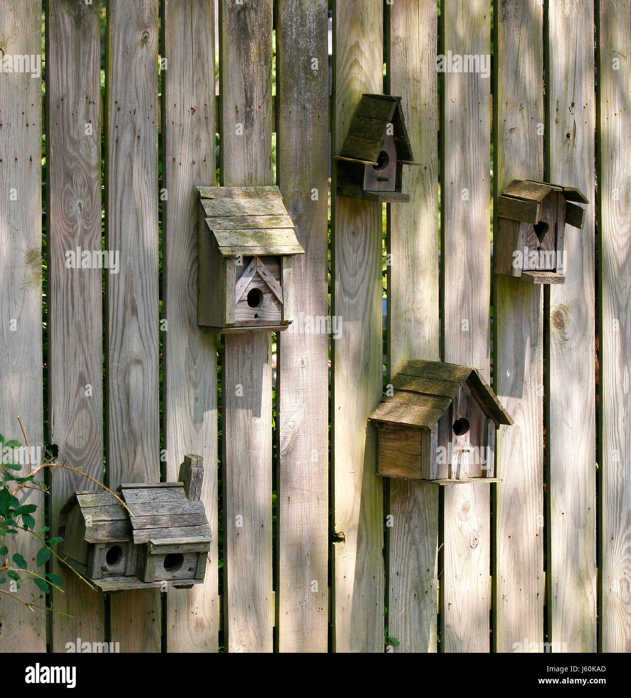 bird hobby crafts wooden outdoors fence house building birds hobby outside Stock Photo