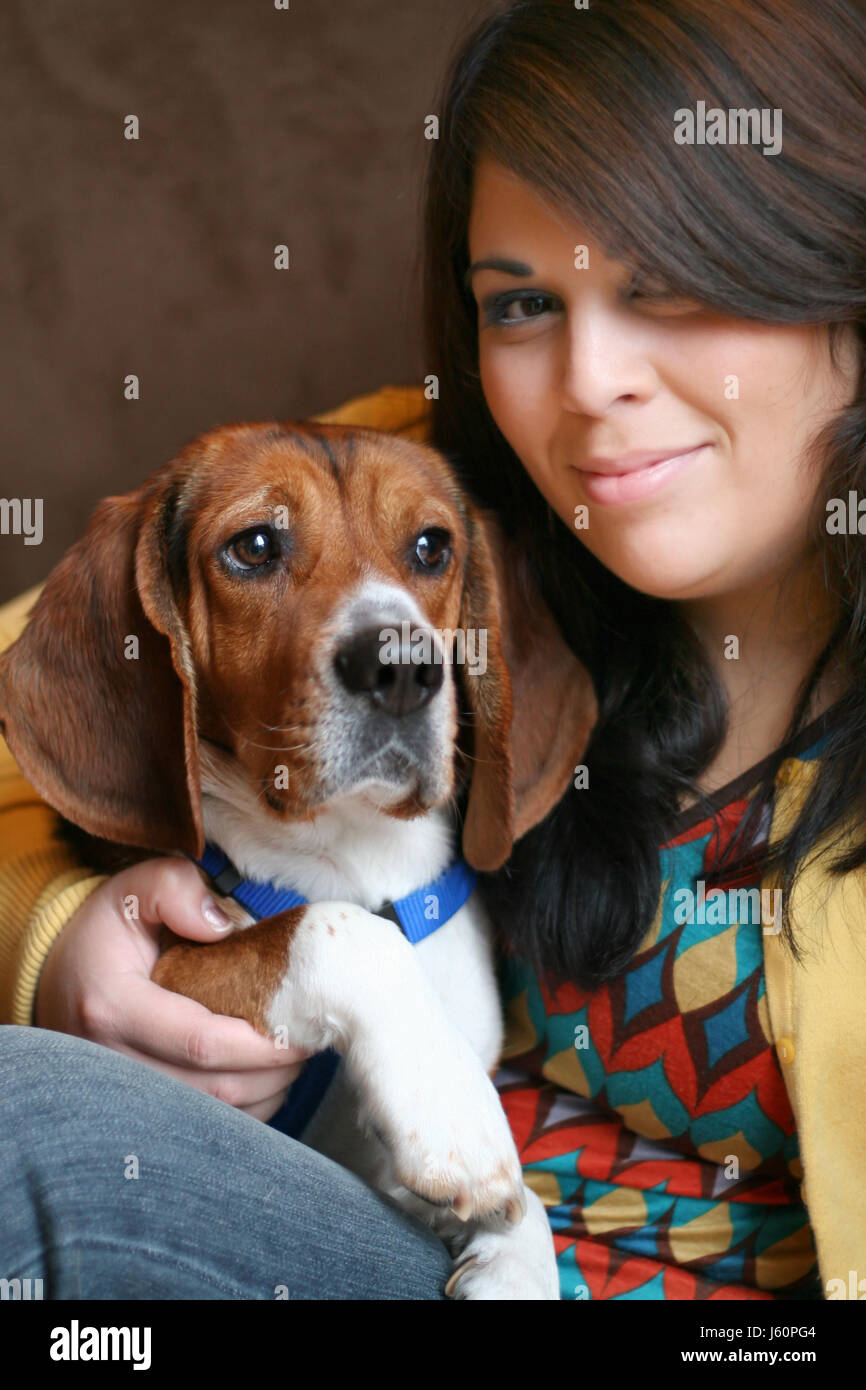 woman pet dog spanish beagle girl girls friends woman humans human beings Stock Photo
