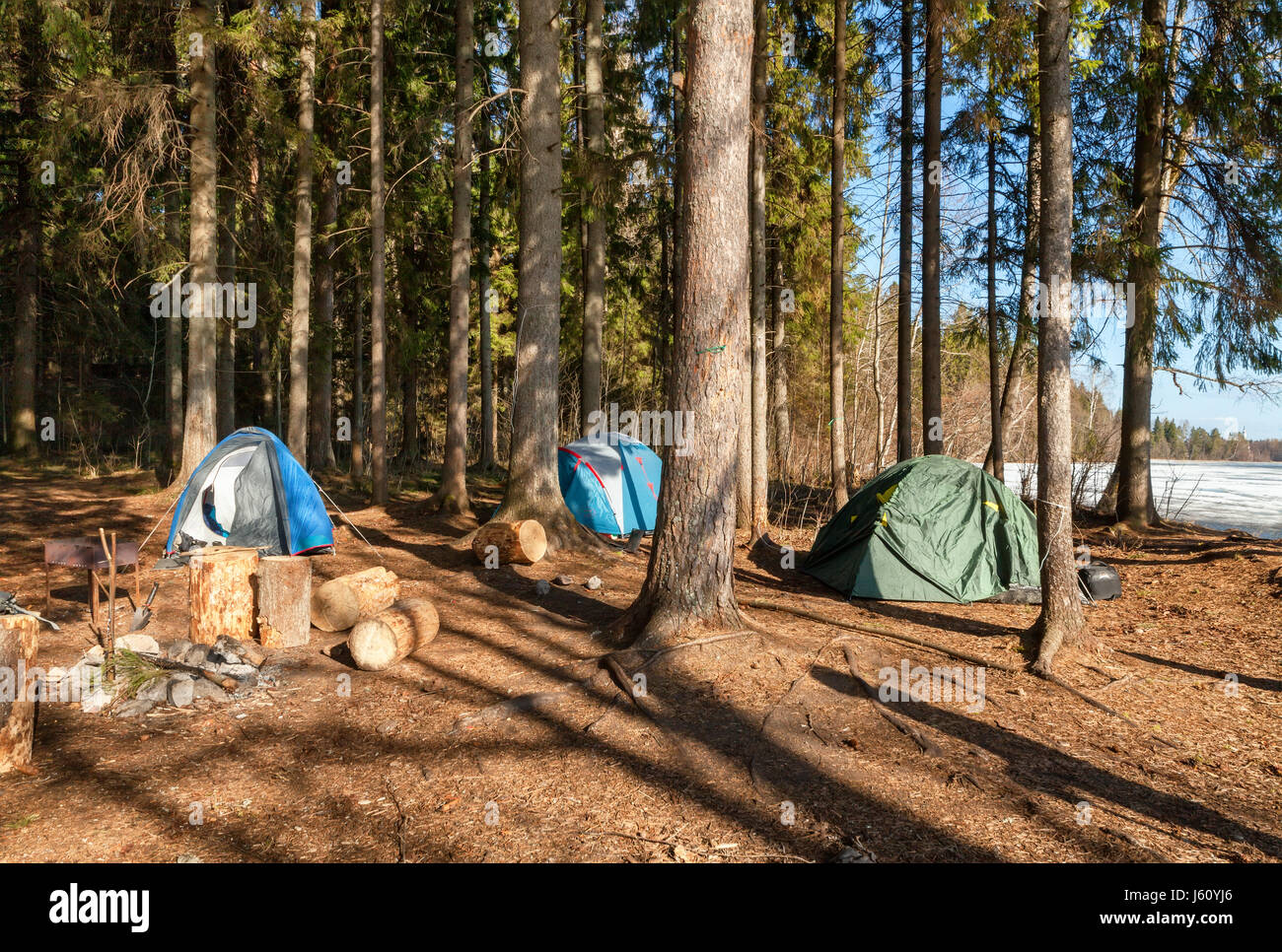Tourist camp with tents in a pine forest near the lake in early spring Stock Photo