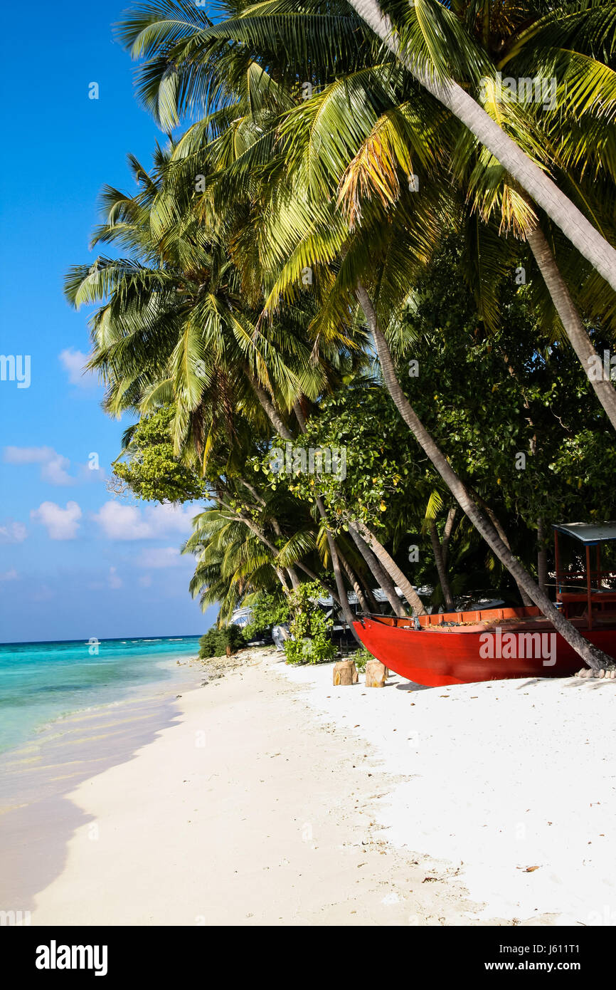 Beautiful tropical beach with palm trees and crystal clear water on a ...