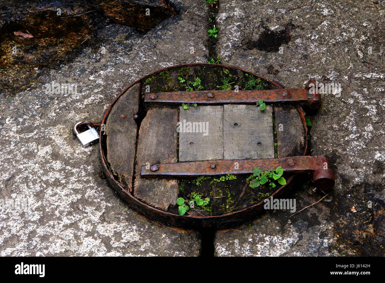 Old Rustic Wooden Trap Door With Padlock Stock Photo 141396041