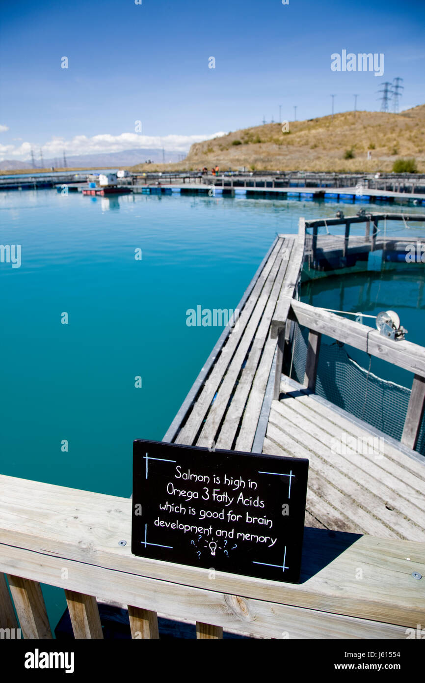 Lake Benmore Salmon Farm South Island New Zealand Stock Photo Alamy