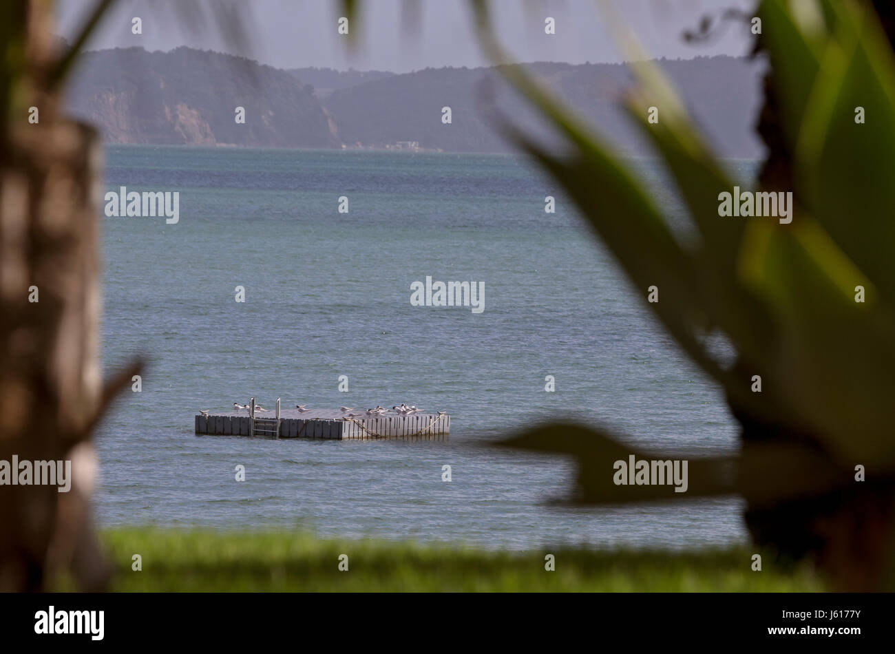 Stanmore Bay New Zealand beach front town Stock Photo Alamy