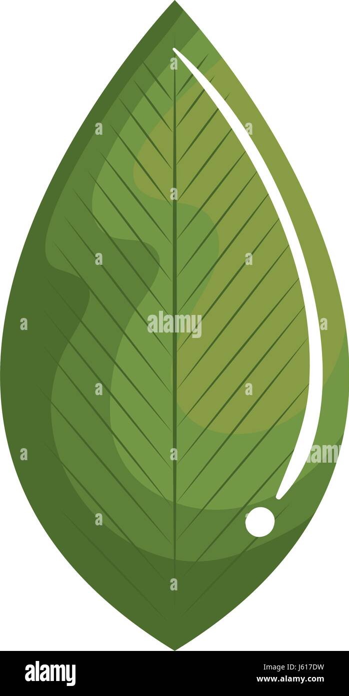 leafs plant ecology icon Stock Vector Image & Art - Alamy