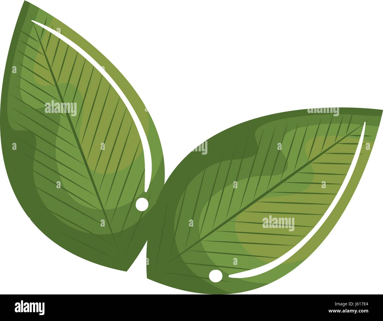 leafs plant ecology icon Stock Vector Image & Art - Alamy