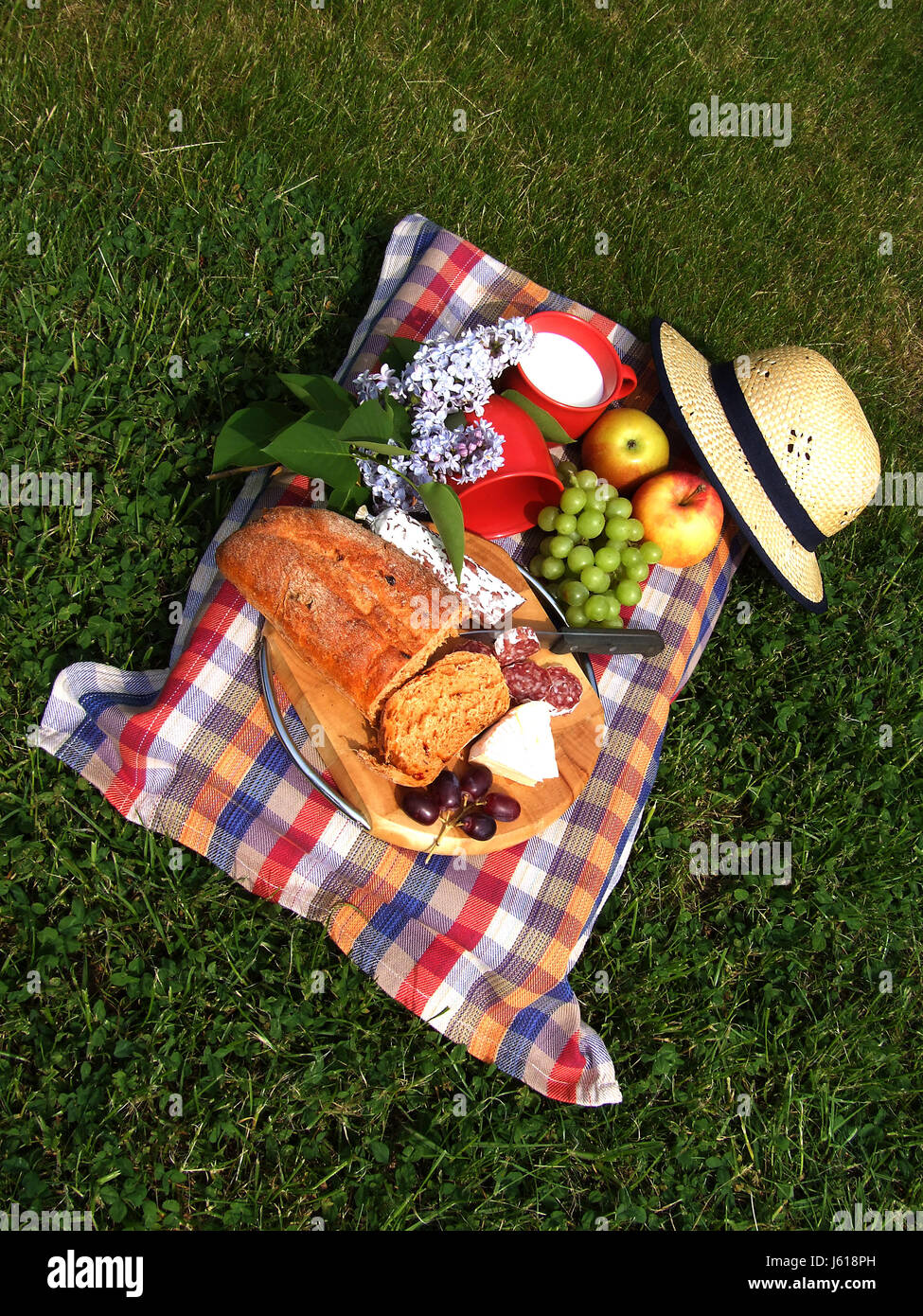 picnic Stock Photo