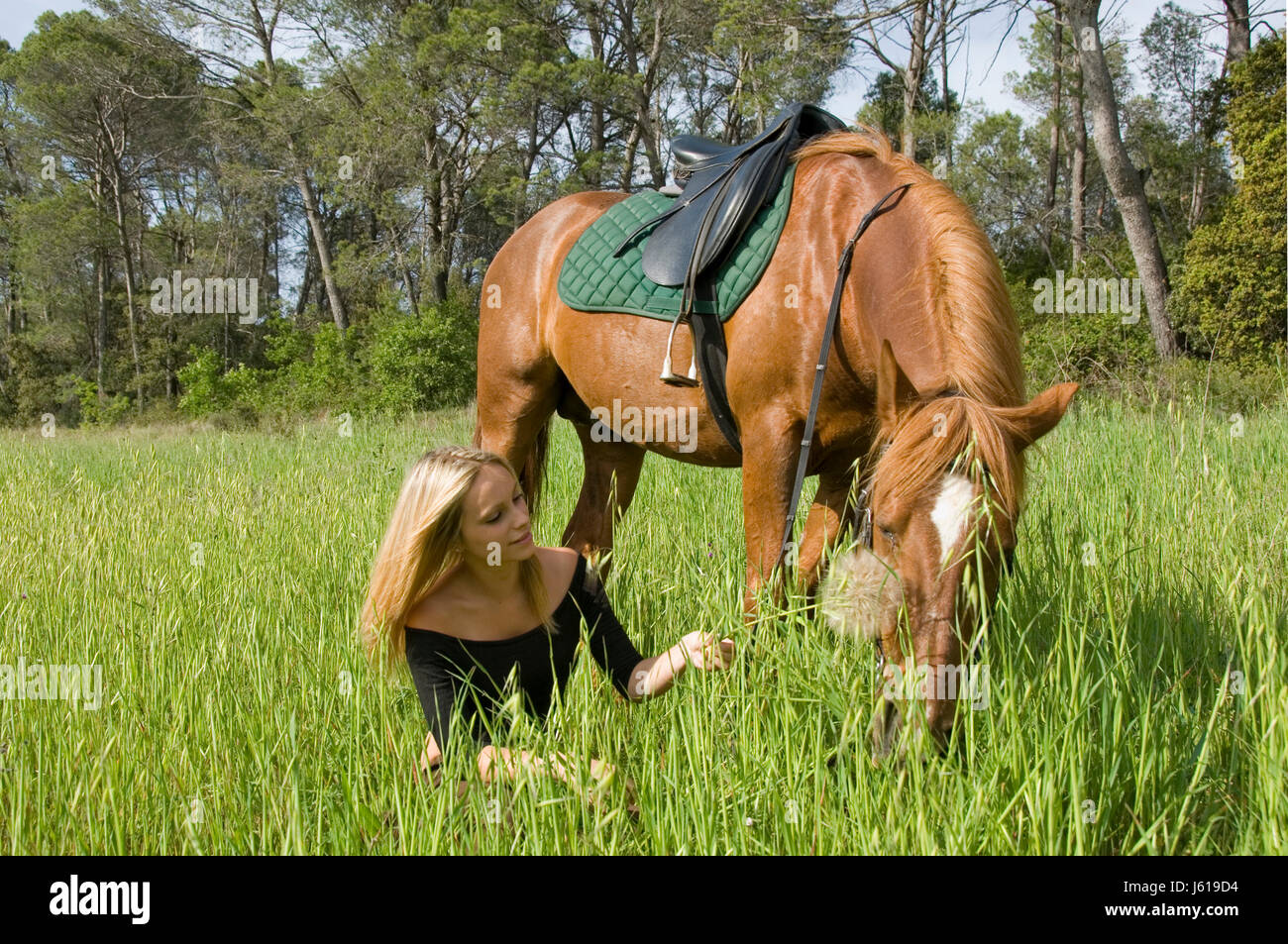 woman horse field stallion teenager blond beauty friendship animal pet brown Stock Photo