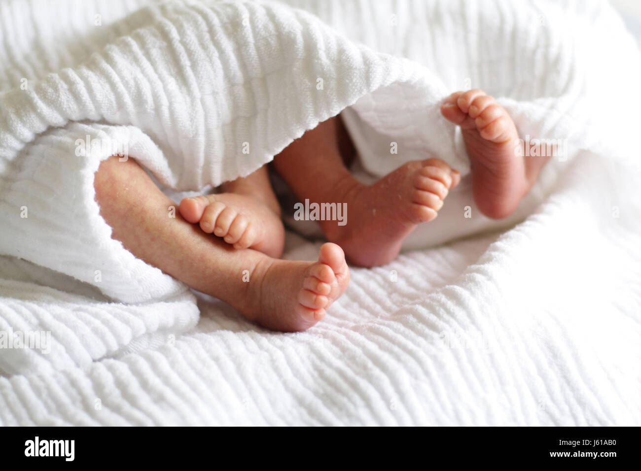 baby feet 5 twins Stock Photo Alamy