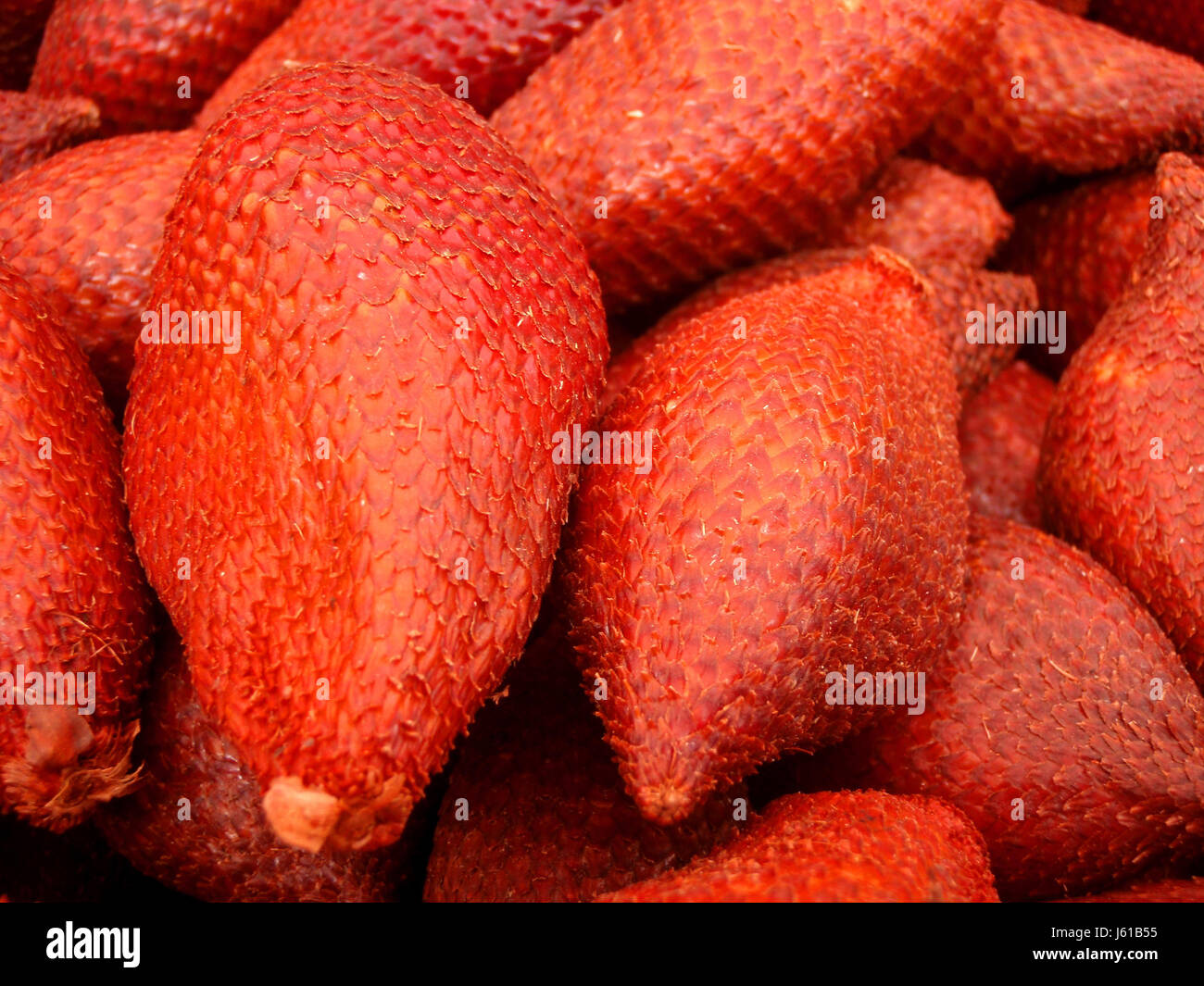 progenies fruits fruit pulp progenies fruits fruit refreshing pulp nutrition Stock Photo