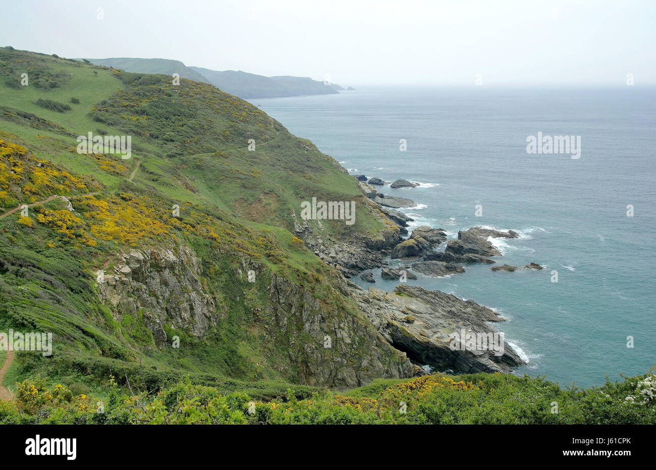 point devonian west rock coast steep coast broom salt water sea ocean water Stock Photo
