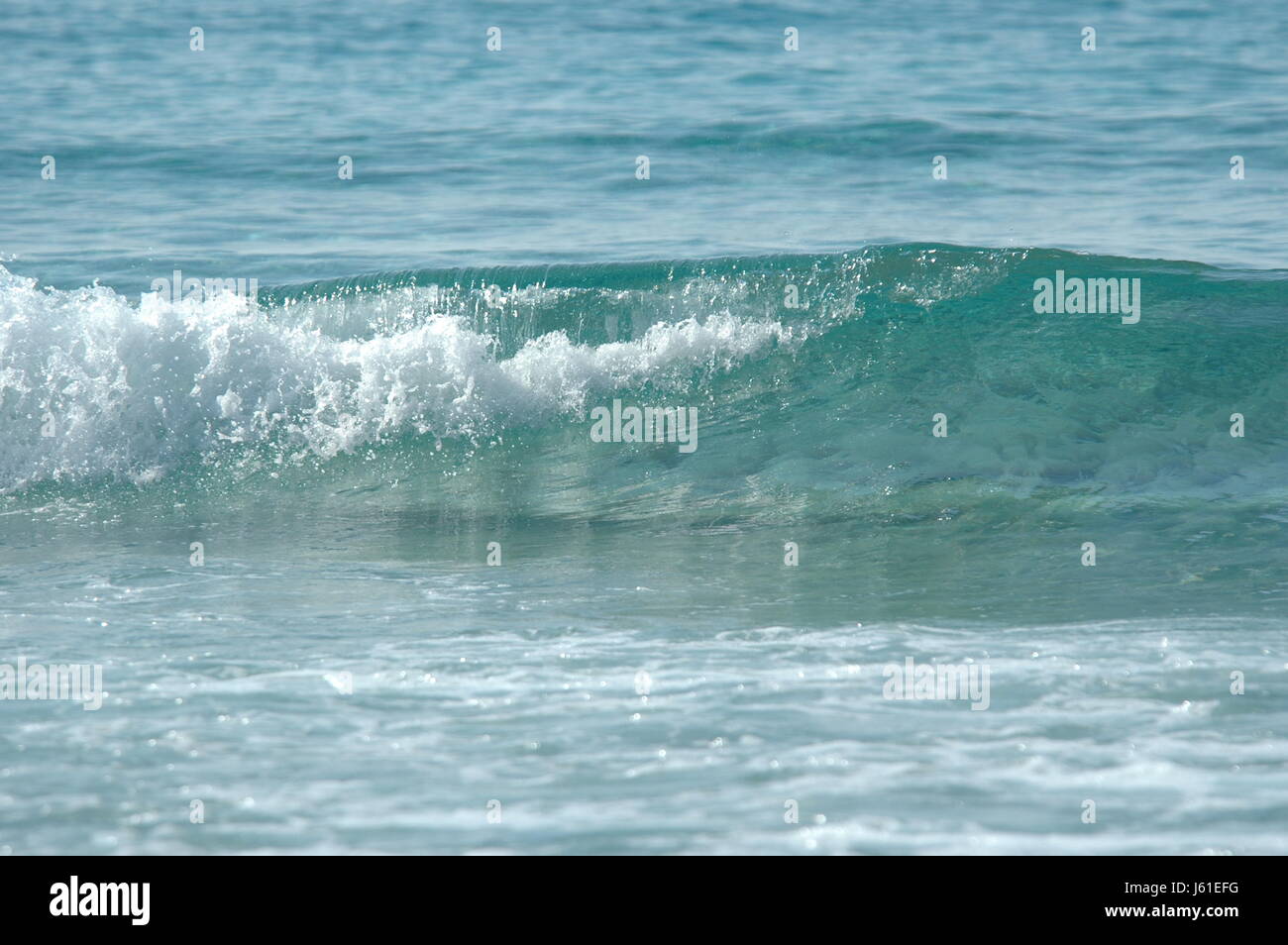 waves wave sea waves salt water sea ocean water nature waves wave sea
