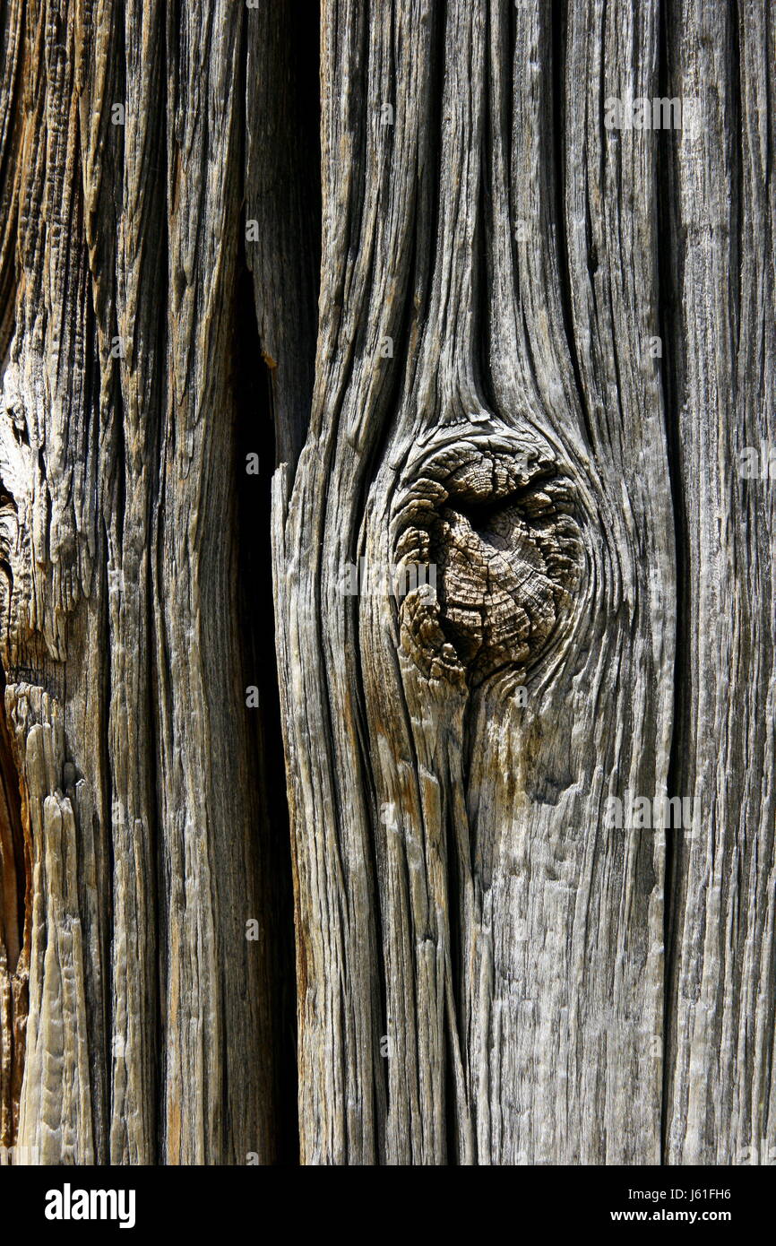 weathered wood grain Stock Photo
