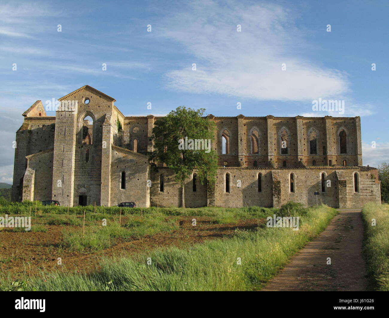 san galgano abbey Stock Photo