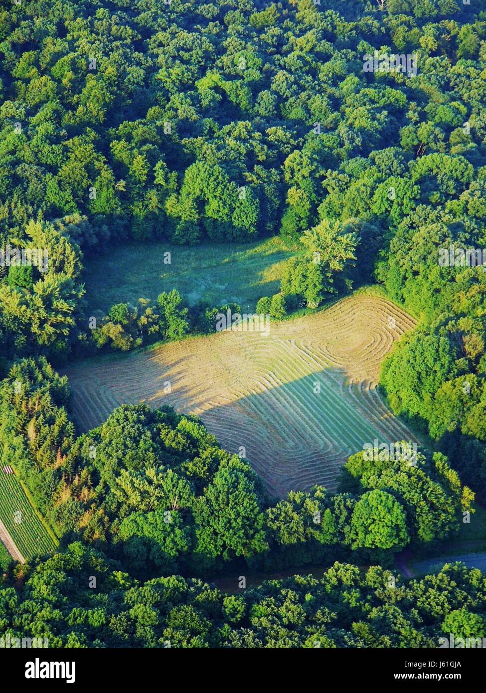 Thick forest area aerial hi-res stock photography and images - Alamy