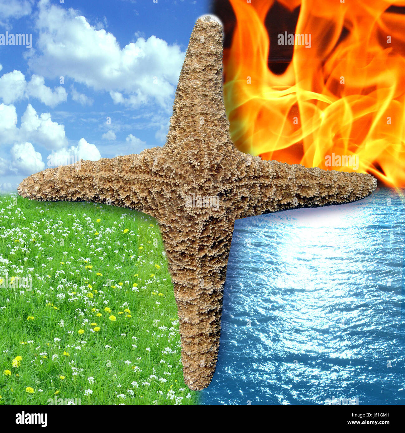 Vier elemente lehre hi-res stock photography and images - Alamy, image size:1300x1390