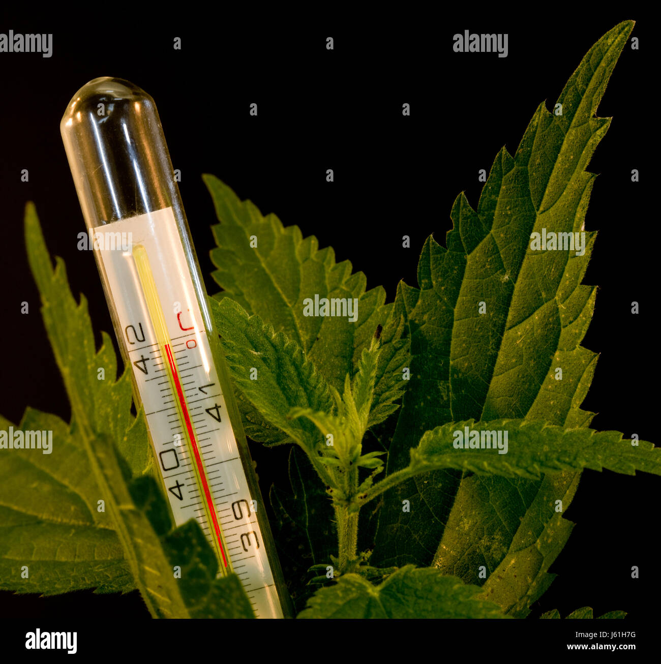 Winged word hi-res stock photography and images - Alamy