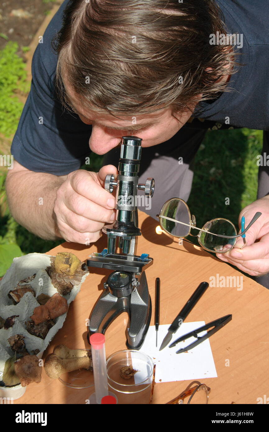 enlarge mushrooms examine microscope enlarge mushrooms recognize ...