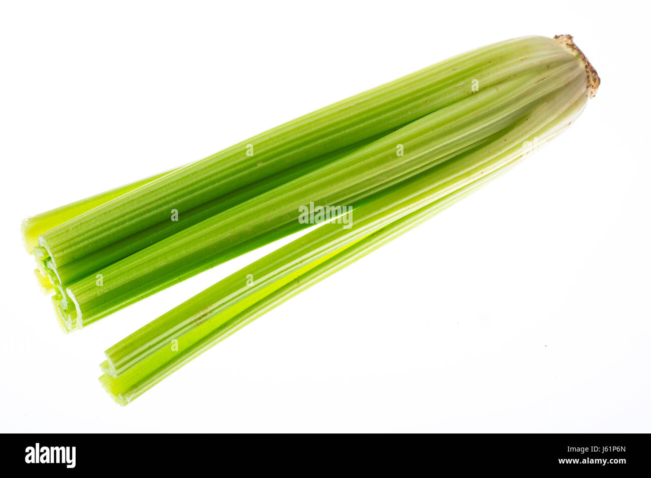 Bunch of stalks of celery. Studio Photo Stock Photo Alamy
