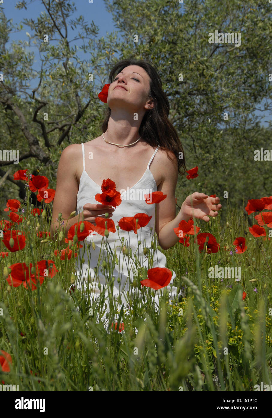woman field flower flowers plant spring teenager happiness beauty laugh laughs Stock Photo