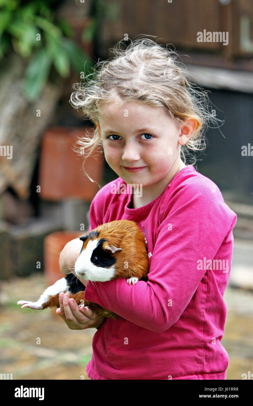 friendship pet rodent love of animals small animal guineapig child girl girls Stock Photo Alamy