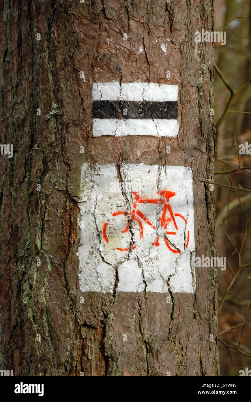 tree direction mark forest tree wood direction mark sign road bike bicycle Stock Photo
