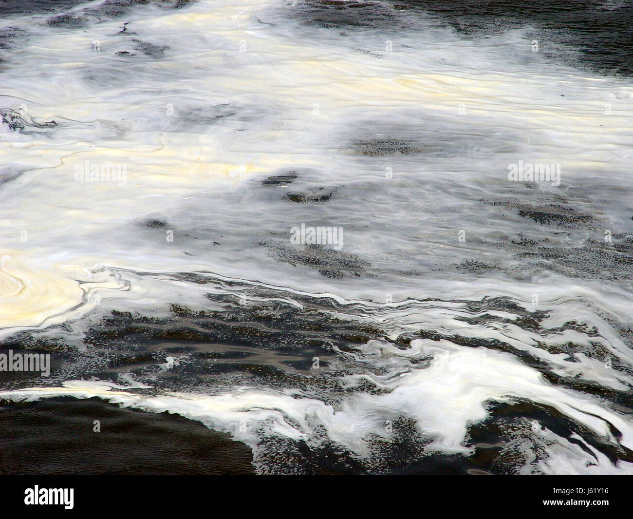 waters wet surface environmental pollution foam water liquid environment Stock Photo